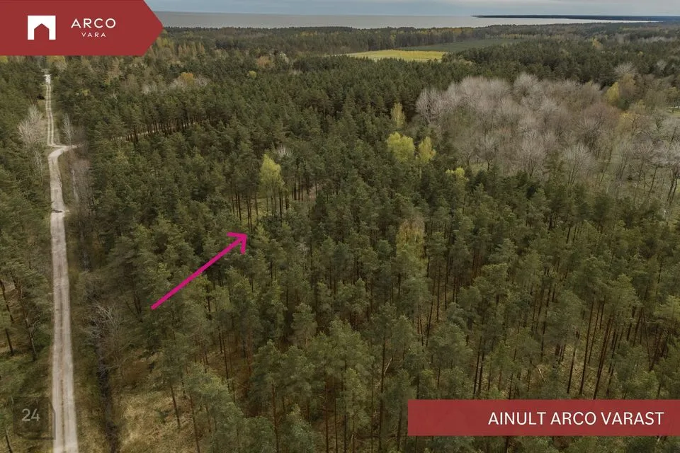Elamumaa, 4904 m² Maa  -  Saaremaa vald, Mändjala küla - foto 2