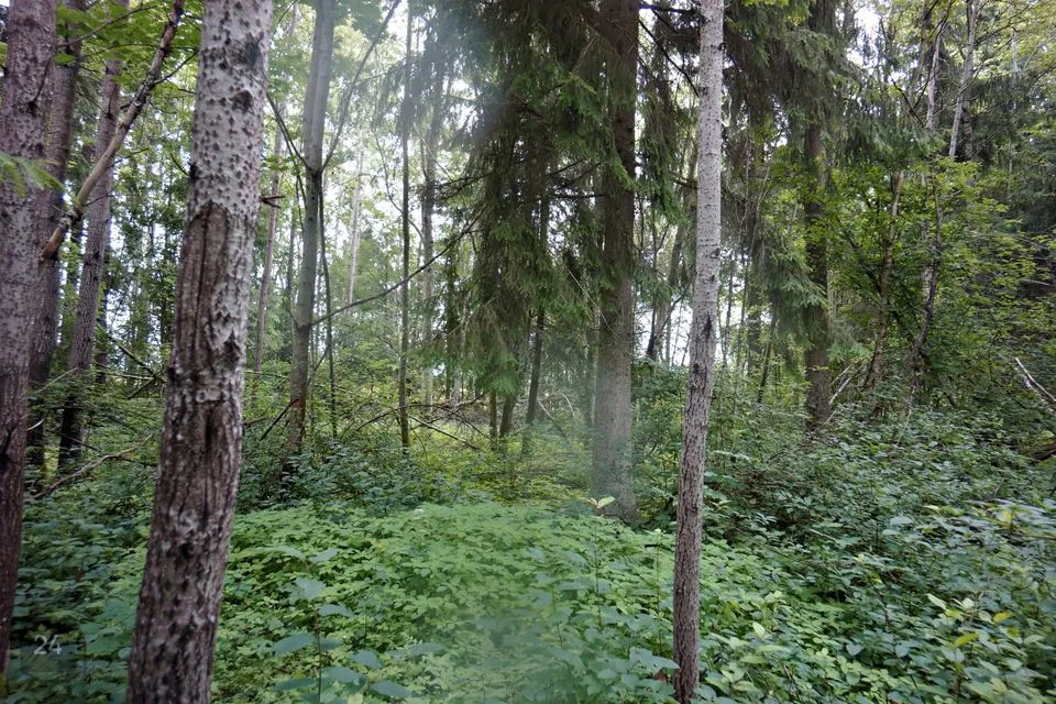 Maatulundusmaa, 7876 m² участок в Elva vald, Tännassilma küla