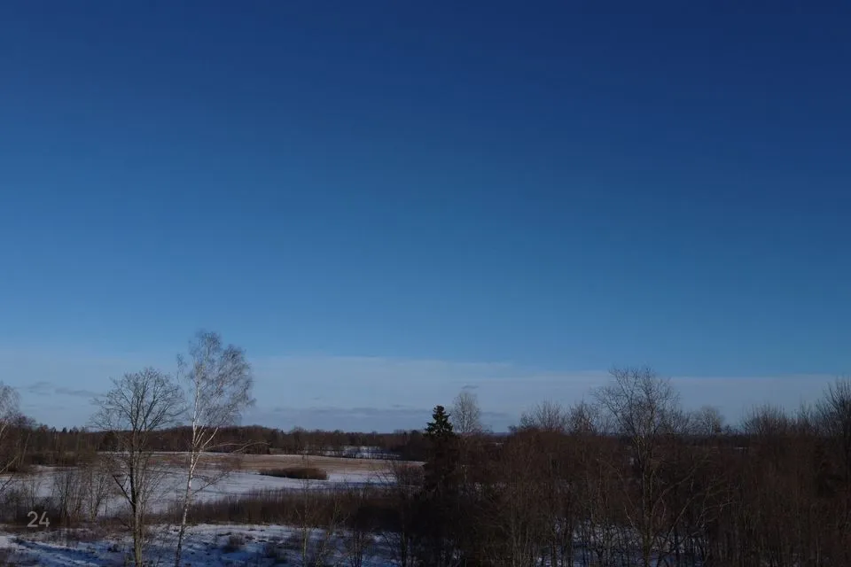 Maatulundusmaa, 11052 m² Maa  -  Tõrva vald, Möldre küla - foto 3