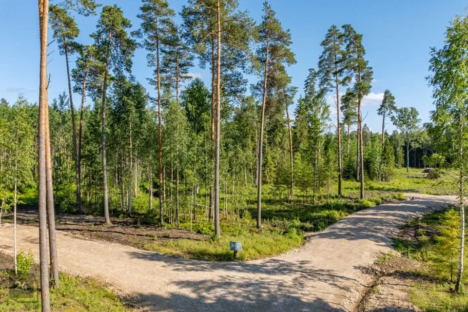 Elamumaa, 9199 m² Maa  -  Kose vald, Tuhala küla