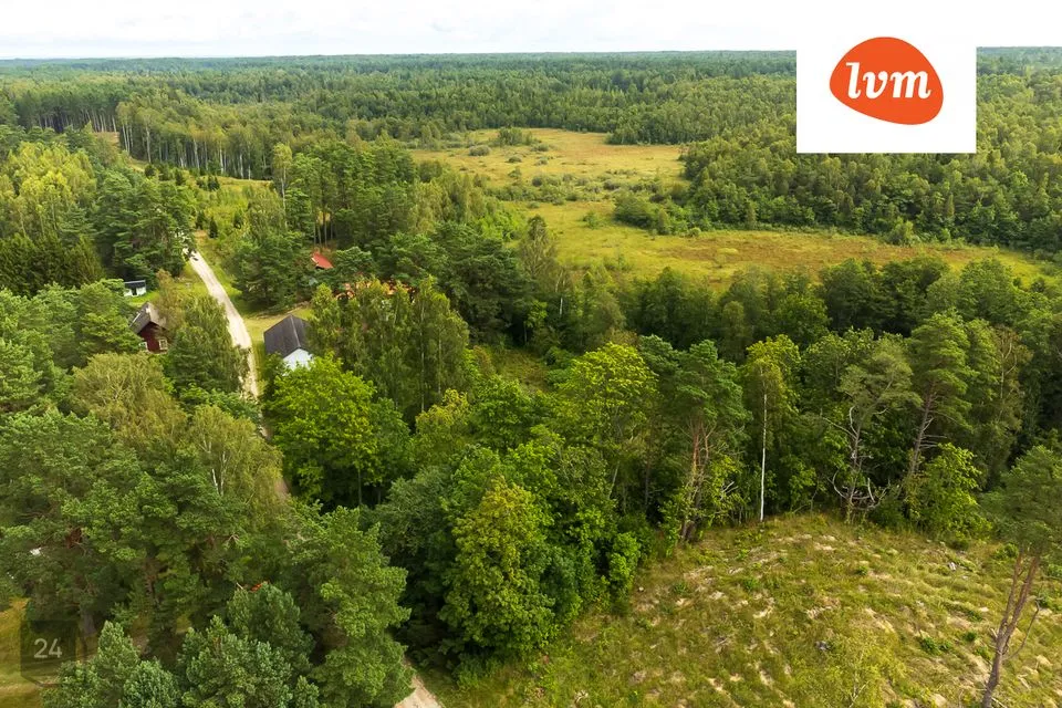 Elamumaa, 6557 m² Maa  -  Saaremaa vald, Torgu-Mõisaküla - foto 2