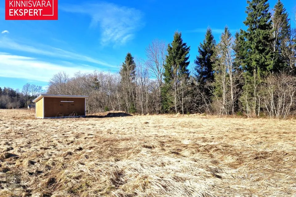 Maatulundusmaa, 55485 m² Maa - Saue vald, Pällu küla - foto 2