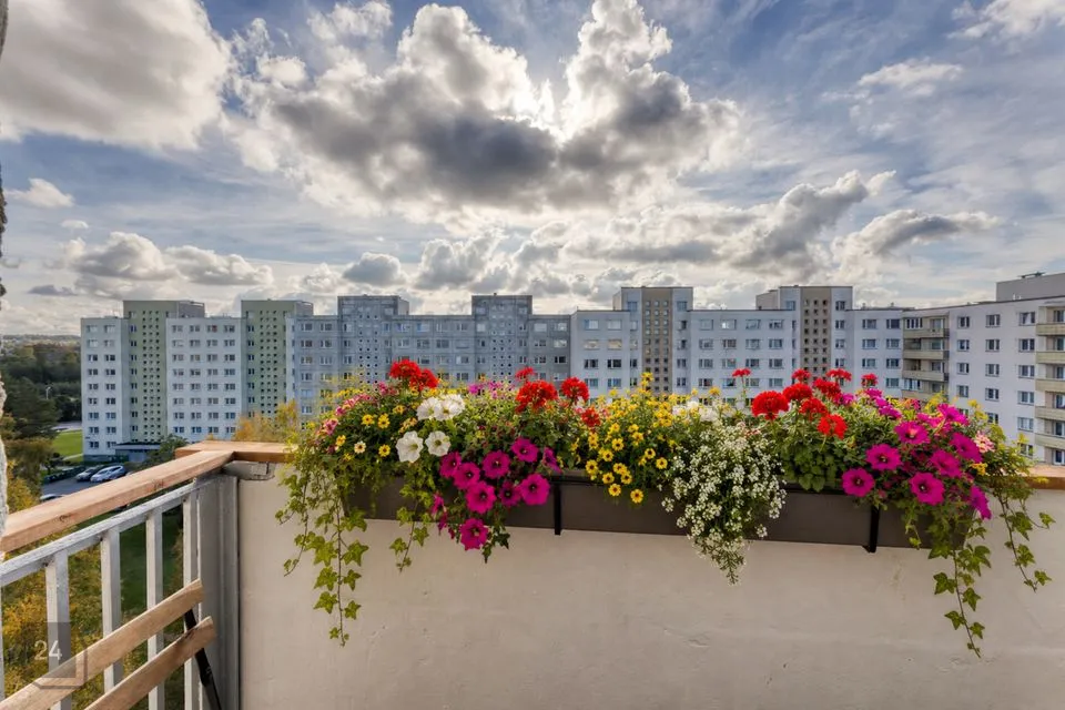 1-toaline Korter  -  Tallinn, Haabersti linnaosa - foto 3