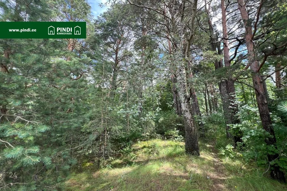 Elamumaa, 4715 m² Maa - Narva-Jõesuu linn, Narva-Jõesuu linn - foto 5