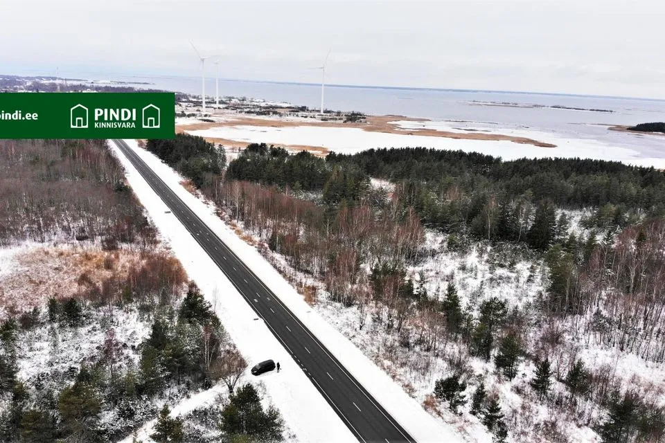 Maatulundusmaa, 98800 m² участок в Lääneranna vald, Esivere küla - фото 4
