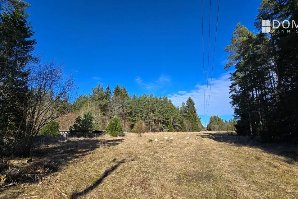 Земля жилой застройки, 10000 m² участок в Saaremaa vald, Viki küla - фото 4