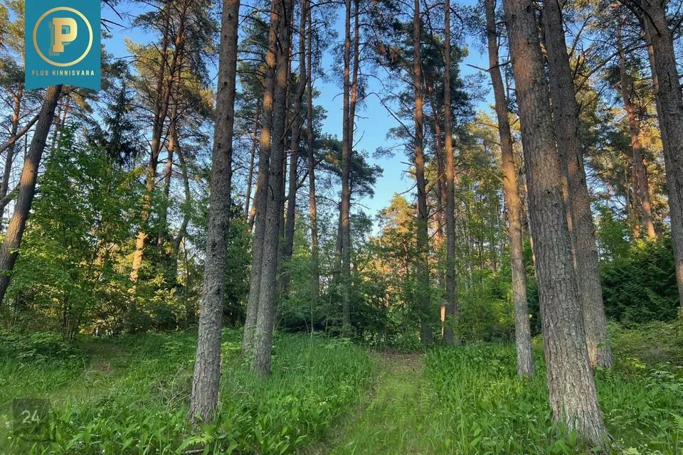 Maatulundusmaa, 1801 m² Maa - Tallinn, Pirita linnaosa - foto 4