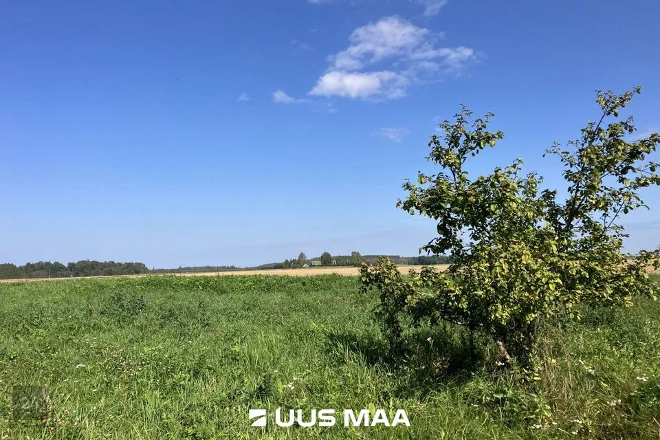 Maatulundusmaa, 13909 m² Maa  -  Nõo vald, Nõgiaru küla - foto 4