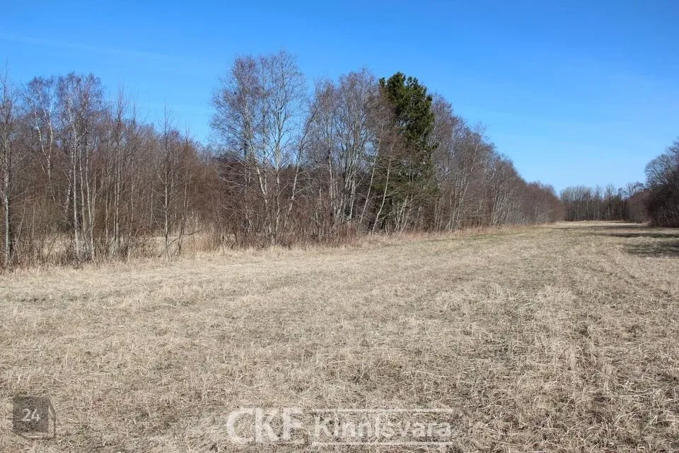 Elamumaa, 6624 m² Maa  -  Lääne-Saare vald, Nasva küla