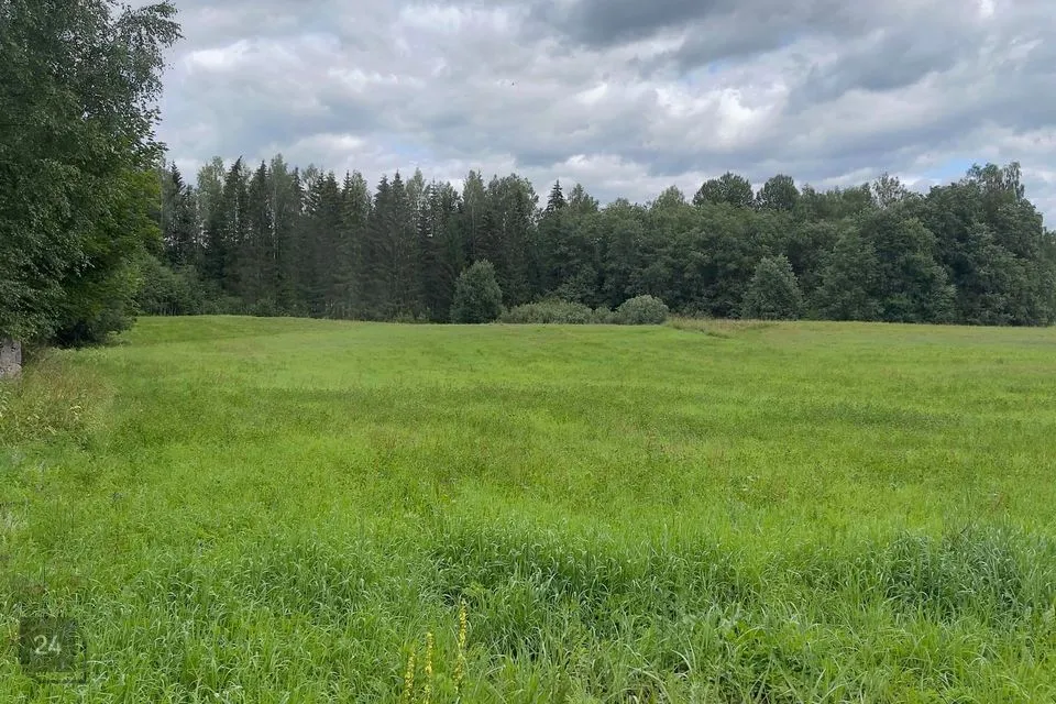 Maatulundusmaa, 29500 m² Maa  -  Rõuge vald, Preeksa küla - foto 3