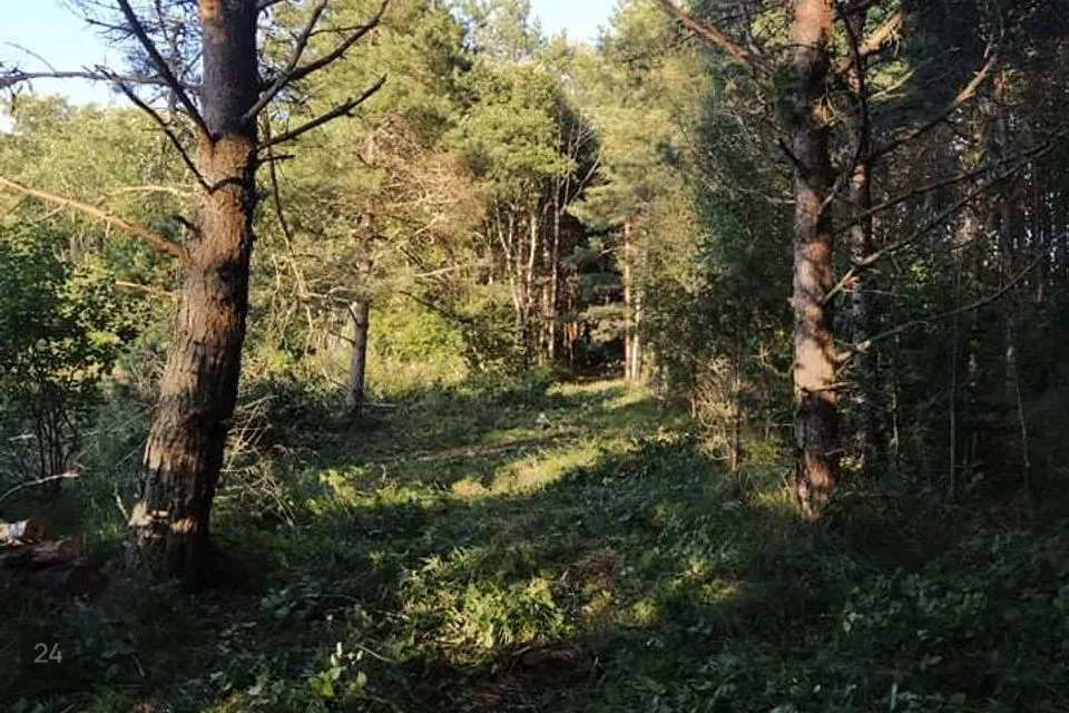 Elamumaa, 33901 m² Maa  -  Lääne-Nigula vald, Hara küla / Harga - foto 4