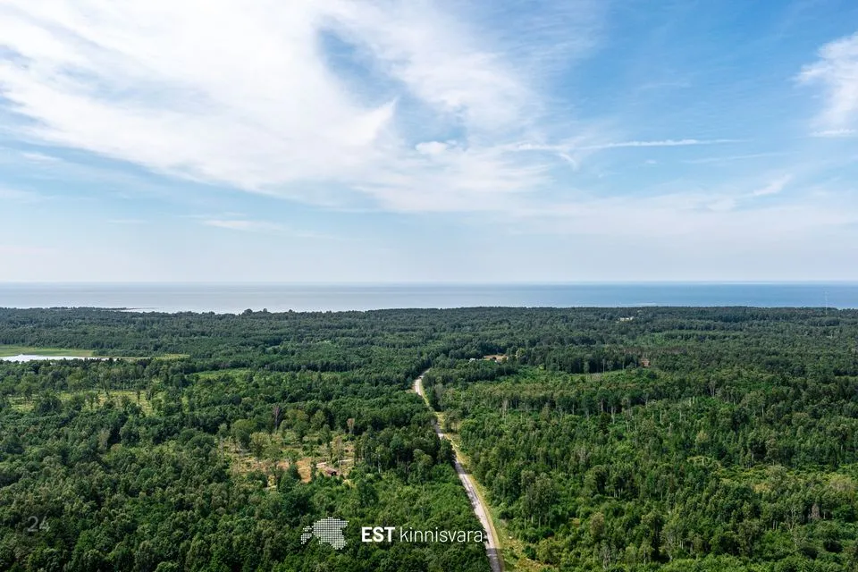 Maatulundusmaa, 10355 m² Maa  -  Lääneranna vald, Rädi küla - foto 2