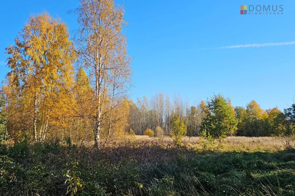 Maatulundusmaa, 9349 m² Maa - Häädemeeste vald, Kabli küla - foto 4