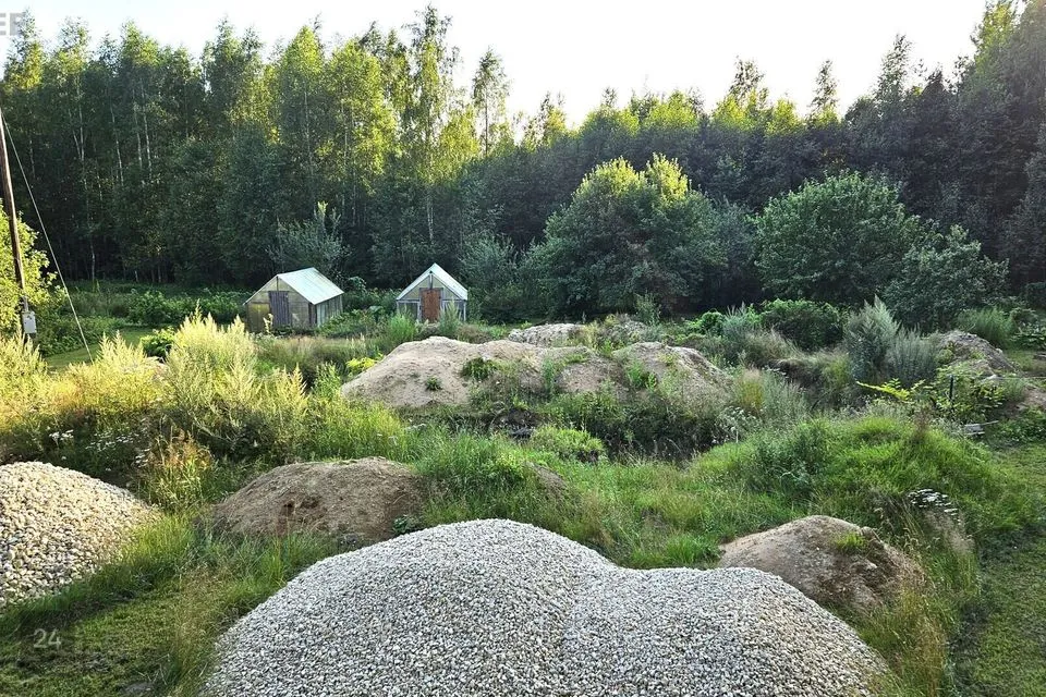 Maatulundusmaa, 35000 m² участок в Türi vald, Jändja küla - фото 4