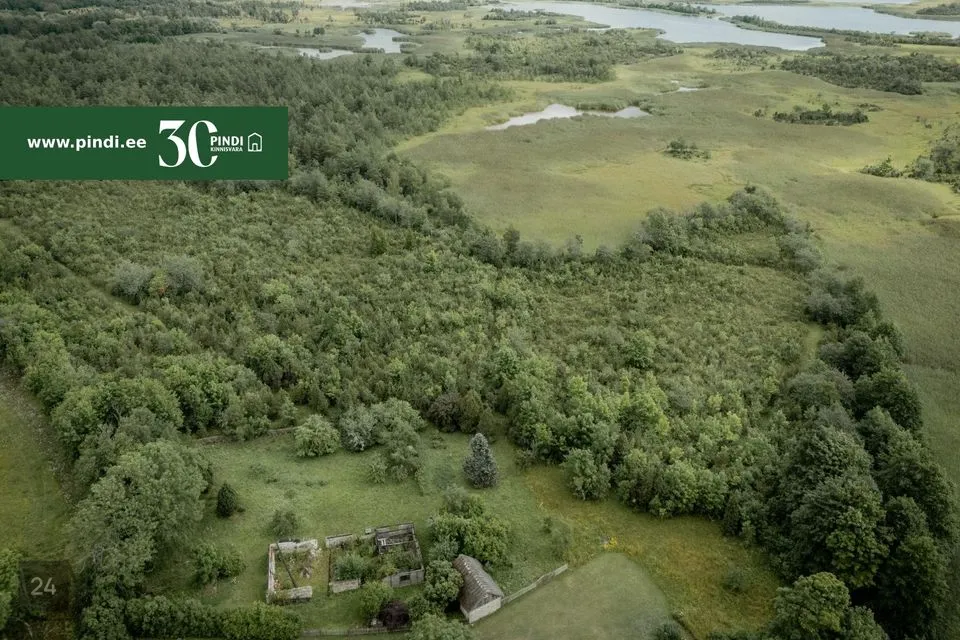 Maja - Saaremaa vald, Saareküla