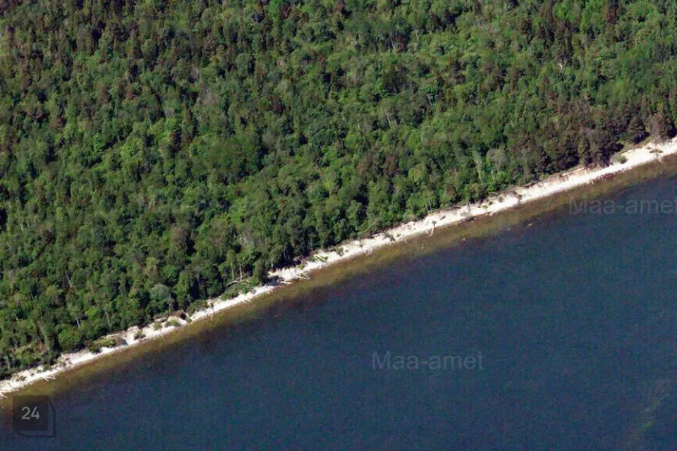 Elamumaa, 12034 m² Maa  -  Saaremaa vald, Mõntu küla - foto 2