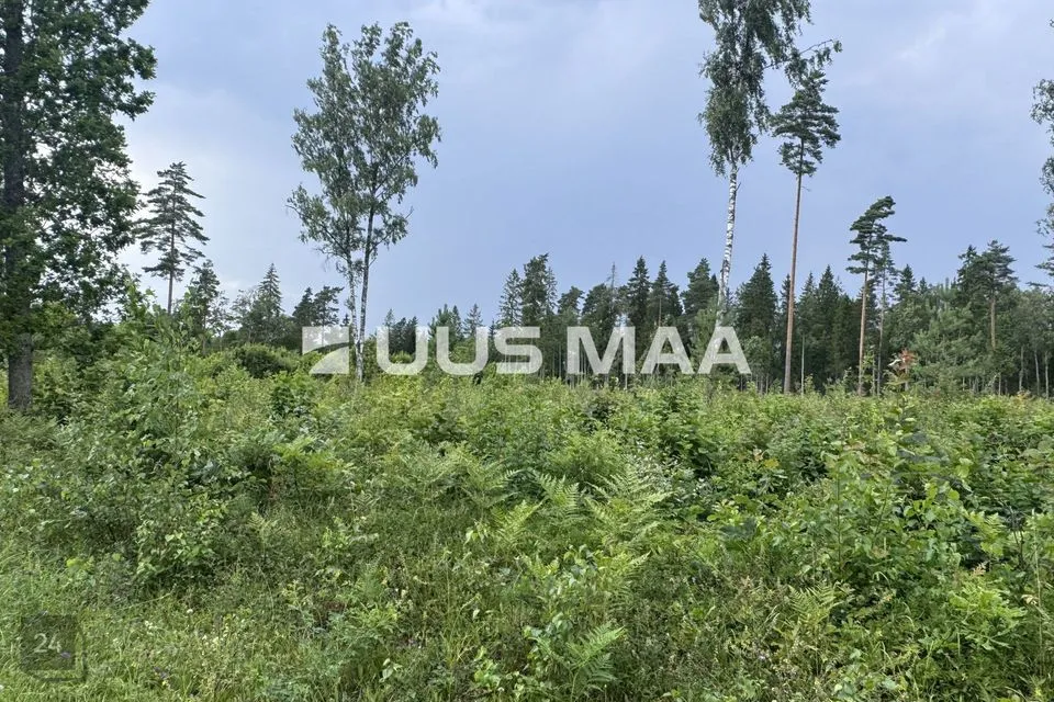 Cultivated land, 13089 m² land in Kohila vald, Mälivere küla