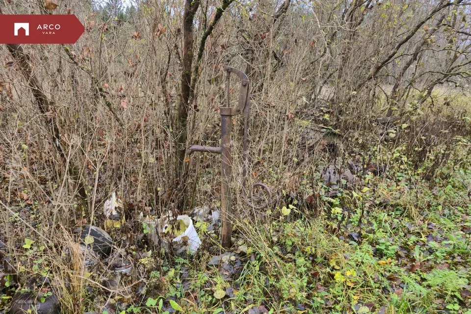 135391 m² Maa  -  Lääne-Harju vald, Lehola küla - foto 4