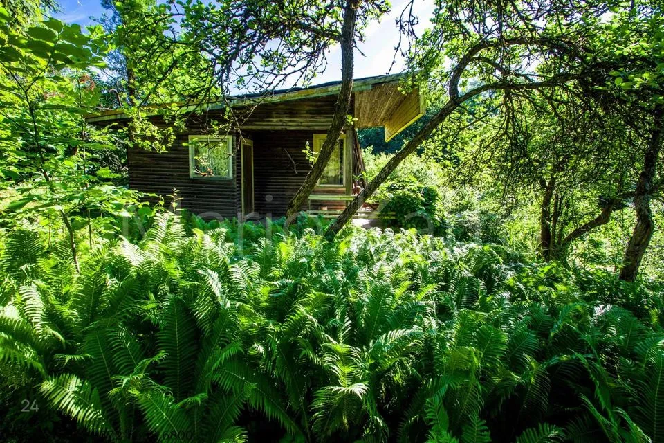 2-toaline Suvila  -  Viljandi vald, Peetrimõisa küla - foto 2