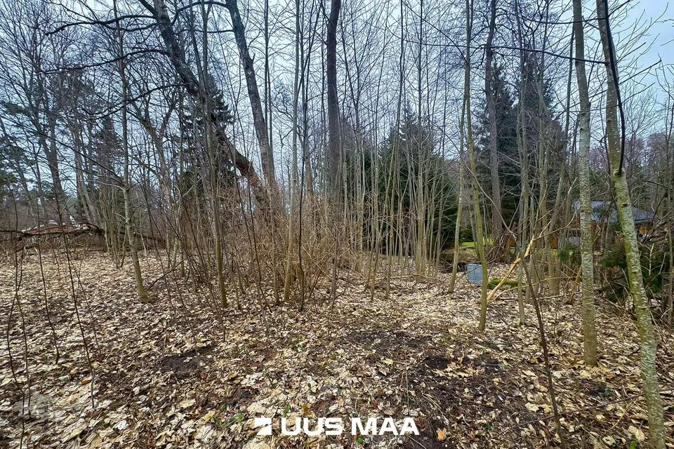 Земля жилой застройки, 3005 m² участок в Lääne-Harju vald, Meremõisa küla - фото 4