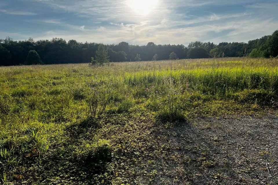 Maatulundusmaa, 42200 m² Maa - Haapsalu linn, Herjava küla - foto 2