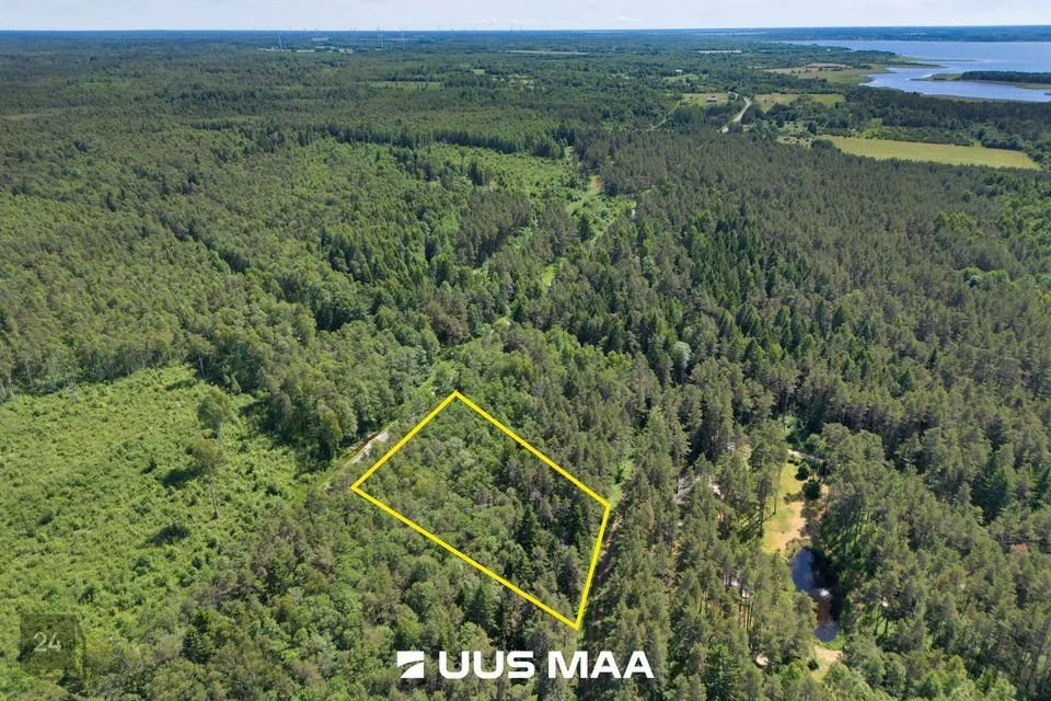Elamumaa, 4381 m² Maa  -  Lääne-Nigula vald, Elbiku küla / Ölbäck - foto 2