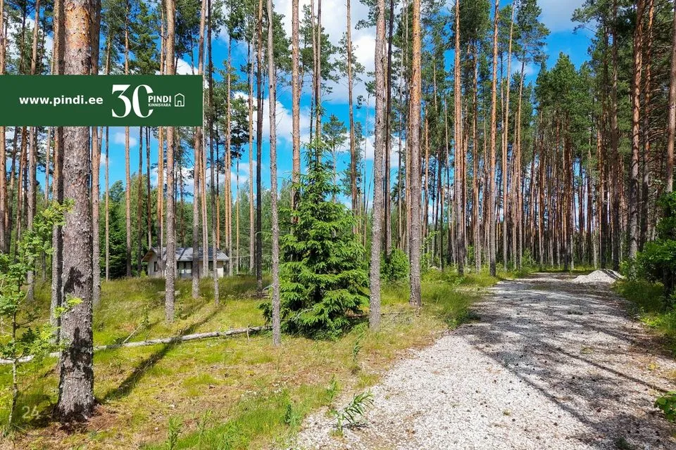 Elamumaa, 1450 m² Maa  -  Alutaguse vald, Alajõe küla - foto 5