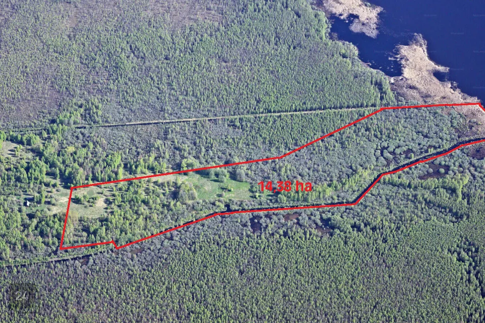 Maatulundusmaa, 143000 m² Maa - Räpina vald, Parapalu küla