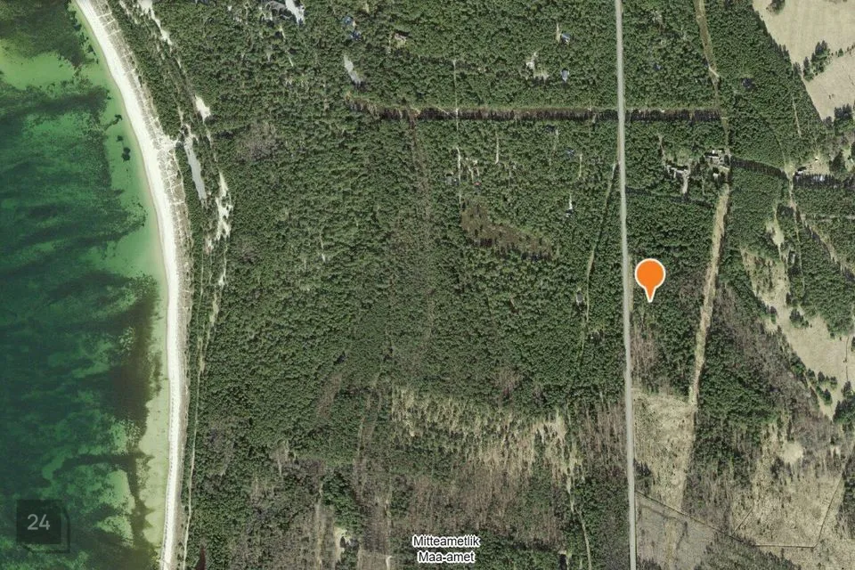 Maatulundusmaa, 13644 m² Maa  -  Lääne-Nigula vald, Elbiku küla / Ölbäck - foto 4