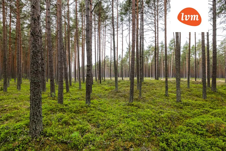 Земля жилой застройки, 7907 m² участок в Jõelähtme vald, Ihasalu küla - фото 4