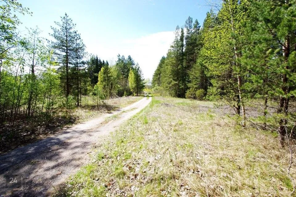 Земля жилой застройки, 54100 m² участок в Lääne-Nigula vald, Saunja küla - фото 4