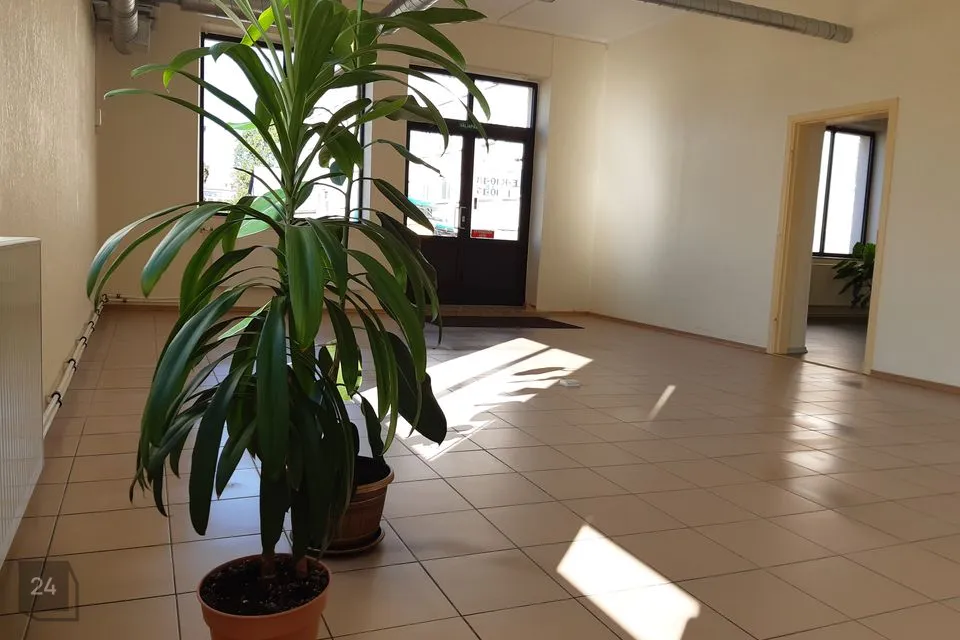 Mitme sihtotstarbega, 112 m² Äripind  -  Paide linn, Paide linn