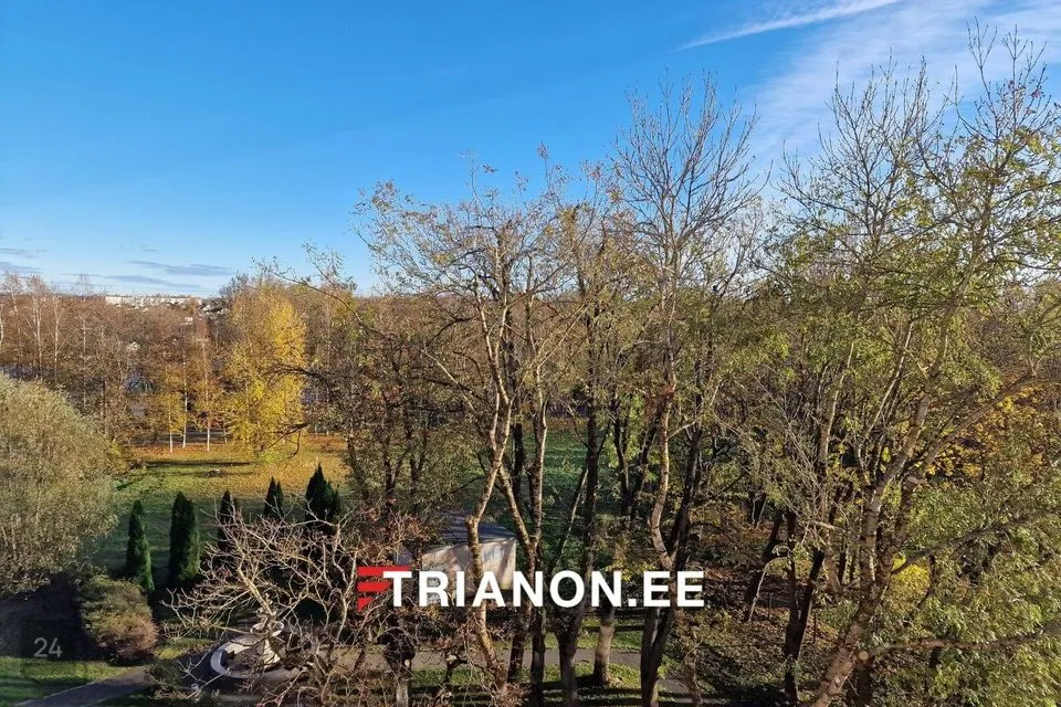 1-toaline Korter - Narva linn - foto 4