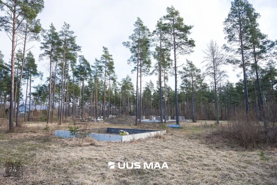 Maatulundusmaa, 16068 m² Maa - Saaremaa vald, Praakli küla - foto 4