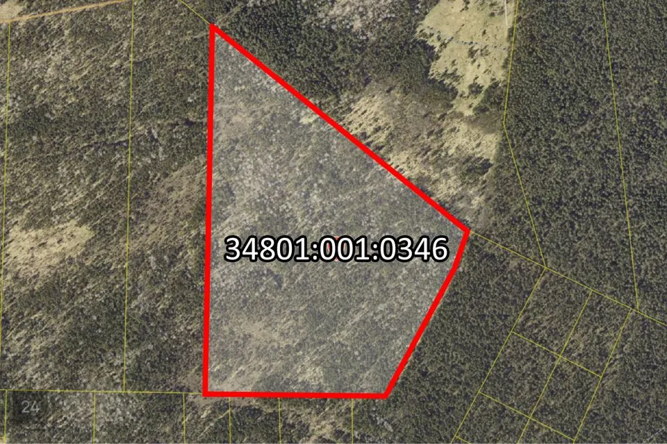 Maatulundusmaa, 496300 m² Maa  -  Saaremaa vald, Haamse küla - foto 2