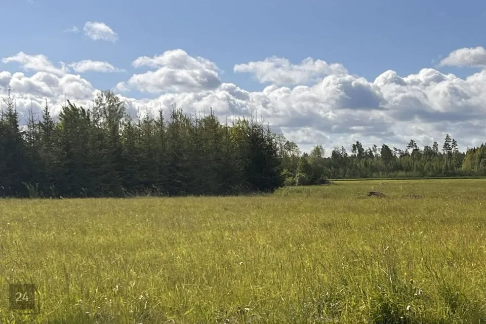 Maatulundusmaa, 10061 m² Maa  -  Saue vald, Madila küla