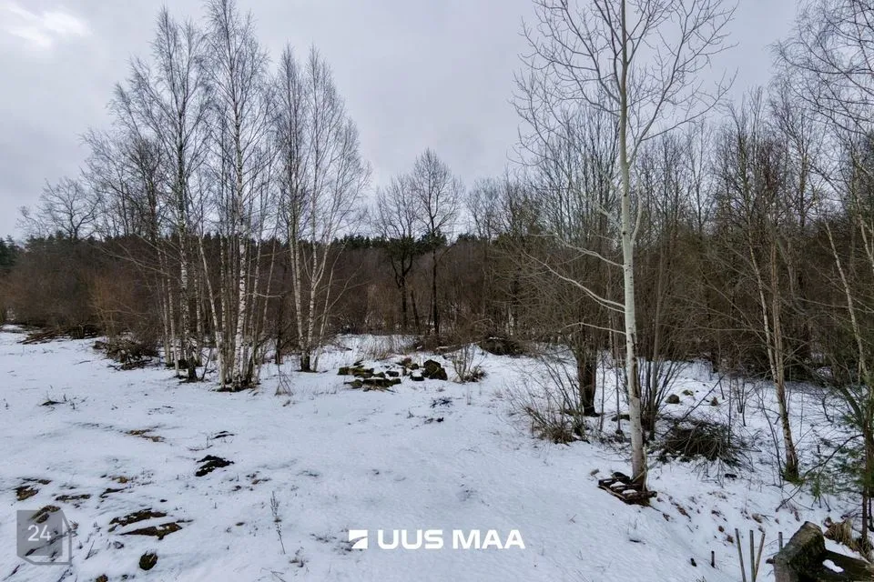 Земля социального назначения - земля общего назначения, 6146 m² участок в Saue vald, Alliku küla - фото 3