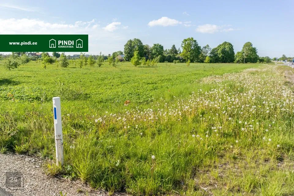 Maatulundusmaa, 21532 m² Maa - Kohtla-Järve linn, Ahtme linnaosa - foto 4