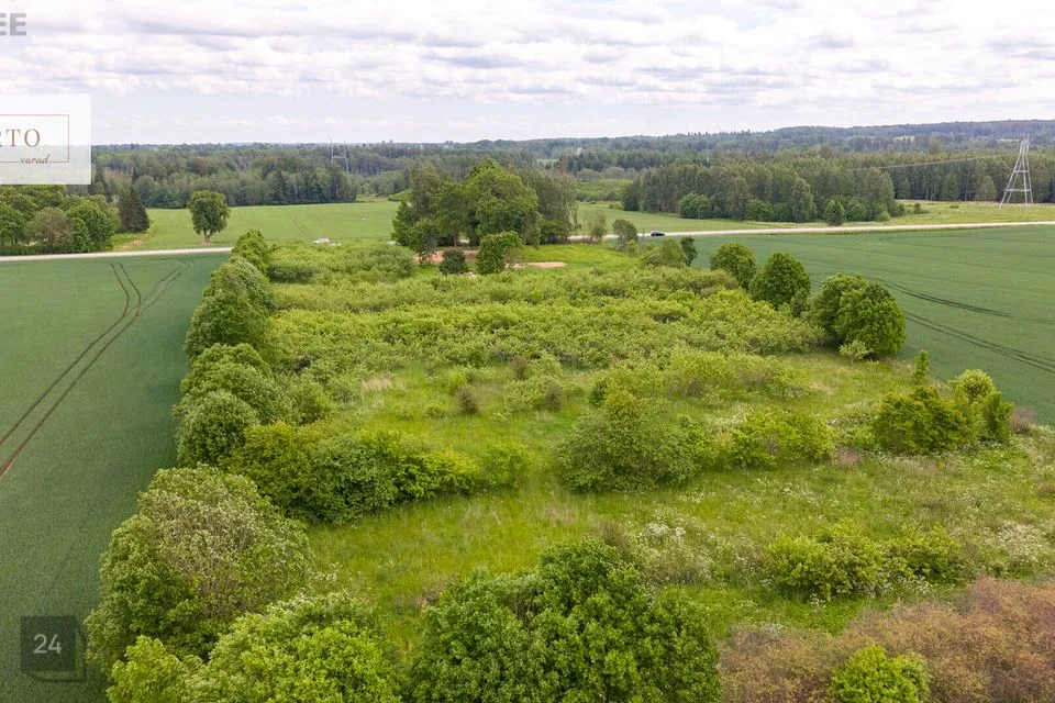 Elamumaa, 19168 m² Maa  -  Kastre vald, Uniküla - foto 4