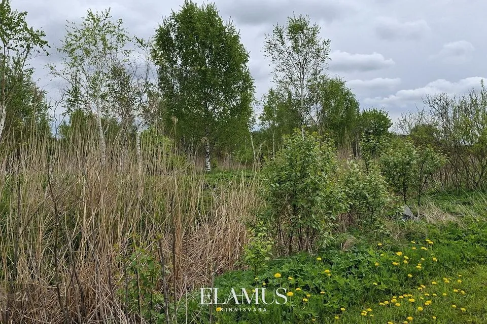 Maatulundusmaa, 5007 m² участок в Lääne-Nigula vald, Linnamäe küla - фото 3
