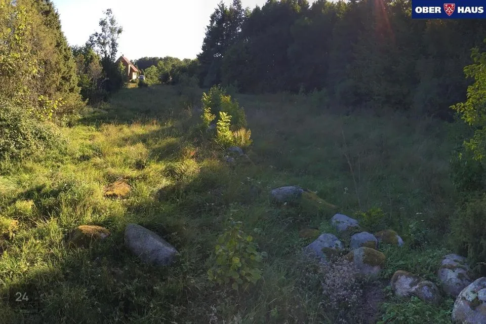 Maatulundusmaa, 10419 m² участок в Lääneranna vald, Raespa küla - фото 3