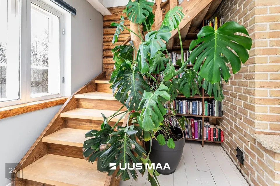 5-комнатная дом в Lääne-Harju vald, Käesalu küla - фото 4