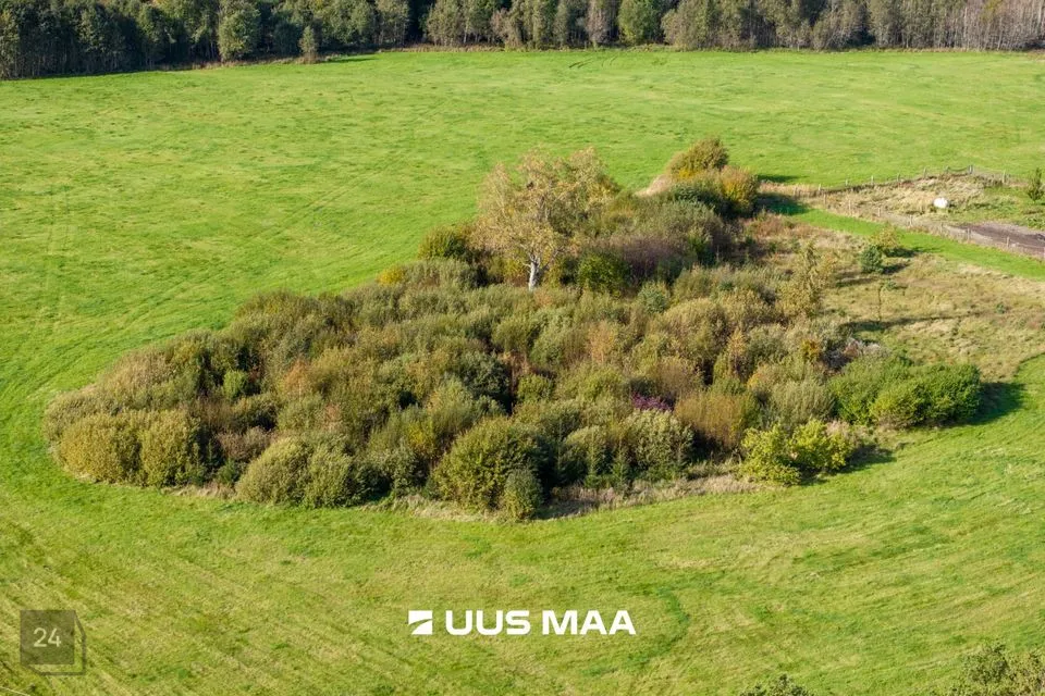 Maatulundusmaa, 6350 m² Maa - Lääne-Nigula vald, Tuksi küla / Bergsby - foto 4