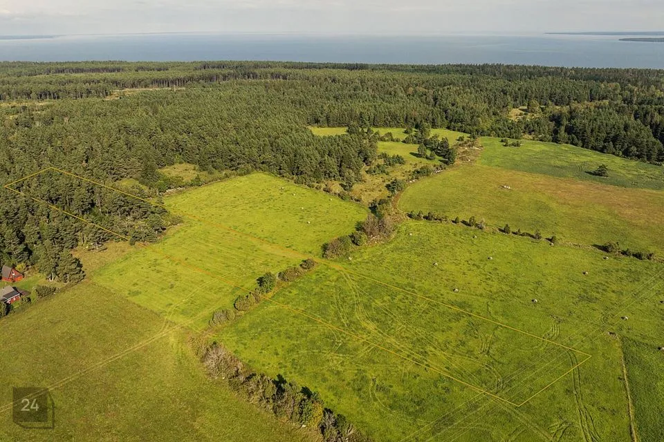 Maatulundusmaa, 12766 m² Maa  -  Saaremaa vald, Meiuste küla - foto 2