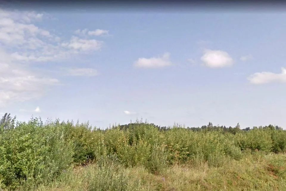 Transpordimaa, 56324 m² Maa - Tori vald, Rütavere küla - foto 5