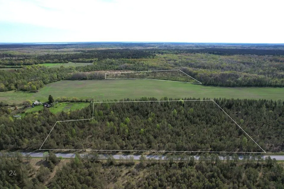 Cultivated land, 33296 m² land in Saaremaa vald, Väike-Võhma küla - photo 3