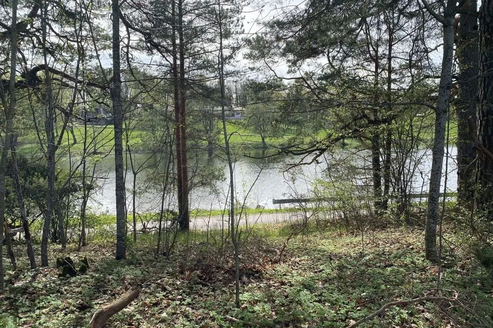 Elamumaa, 4100 m² Maa - Kanepi vald, Krootuse küla - foto 4