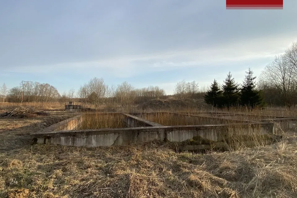 Elamumaa, 2125 m² Maa - Lüganuse vald, Moldova küla - foto 4