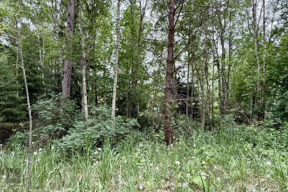 Земля жилой застройки, 1701 m² участок в Saue vald, Kibuna küla - фото 4