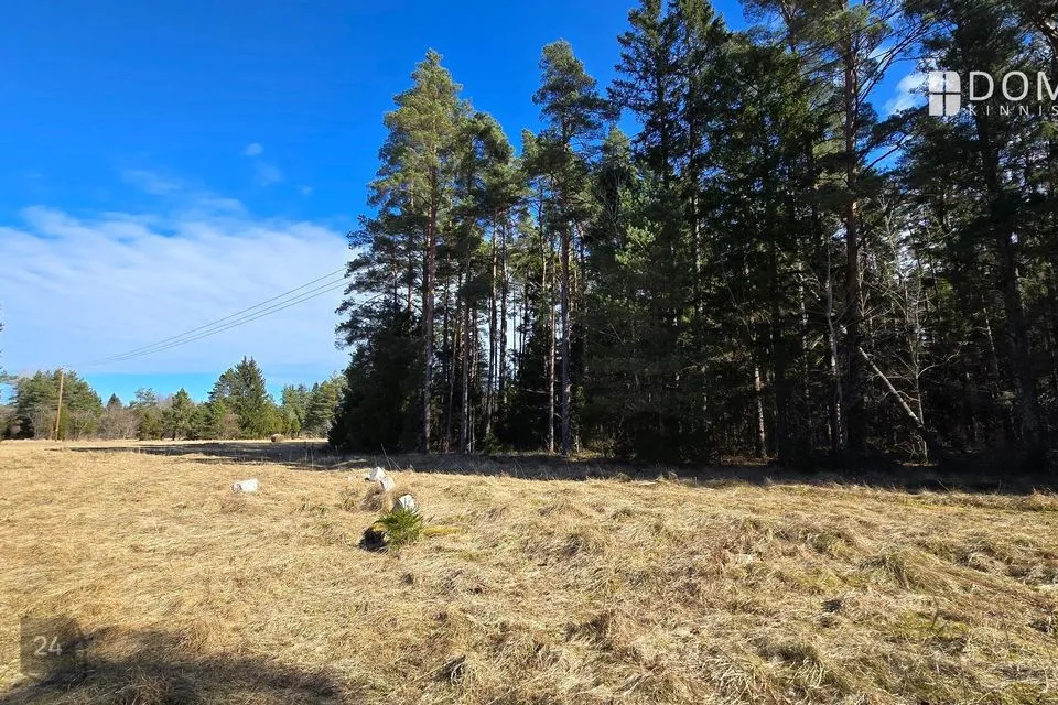 Земля жилой застройки, 10000 m² участок в Saaremaa vald, Viki küla - фото 3